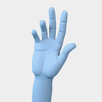 3D Development